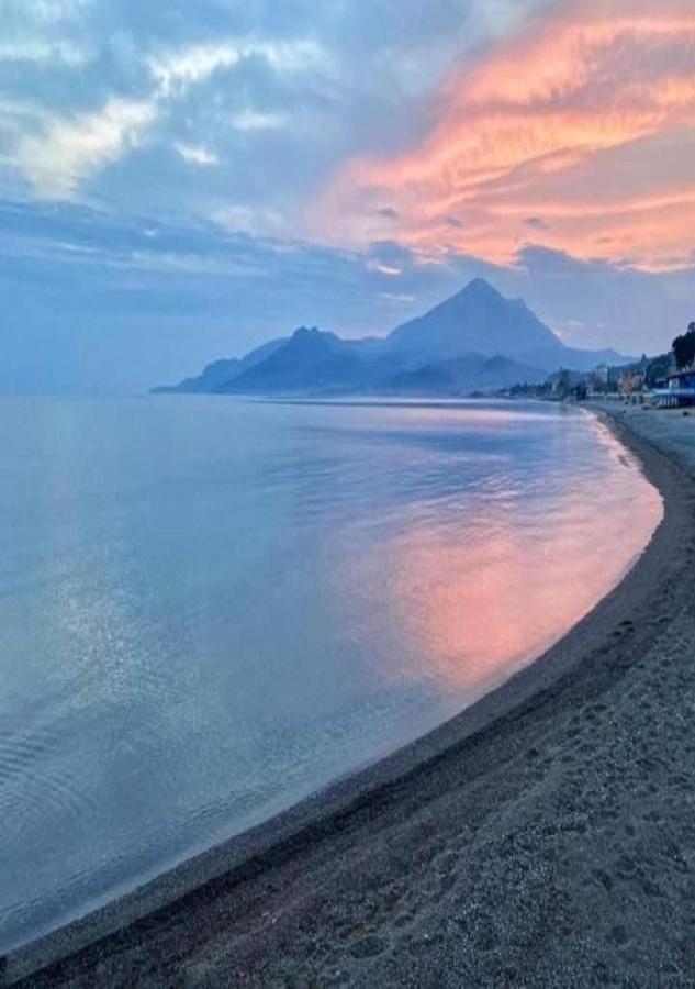 Villa Luisa Sul Mare Capitello Kültér fotó