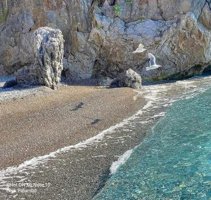 Villa Luisa Sul Mare Capitello Kültér fotó